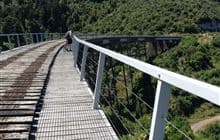 Ohakune Old Coach Road