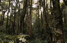 East Holdsworth Track
