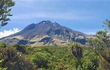 Puniho Track to Kahui Hut