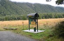 Upper Eglinton Campsite