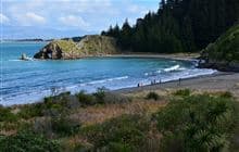 Whites Bay Campsite
