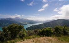 Bay of Many Coves Campsite