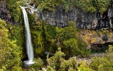 Track to Dawson Falls