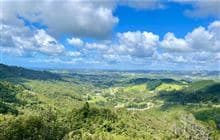 Dome Forest car park to lookout 