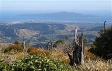 Kapakapanui Track
