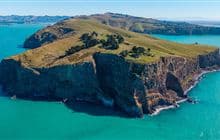 Awaroa/Godley Head Loop Track