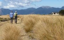 Sylvester Hut Track