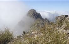 Mount Hikurangi - Te Ara ki Hikurangi