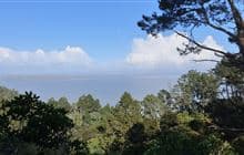 Rocky's to Waiotahi Track
