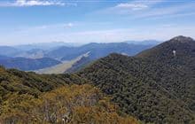 Mt Sunday/Mt Riley Track
