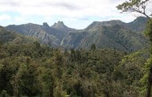 Moss Creek Track