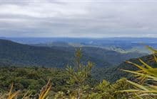 Mangamuka Track