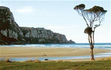 Purakaunui Bay Campsite