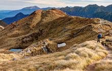 Kepler Track