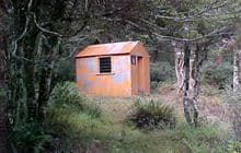 Whare Creek Hut