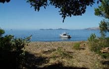 Penguin Bay Campsite