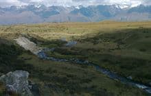 Braemar Road to Landslip Creek
