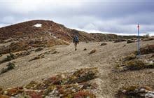Umukarikari Track (to Waipakihi Hut)