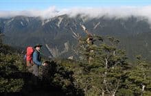 Parks Peak Track to Yeoman's Track