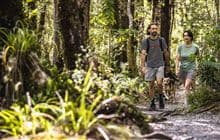 Atiwhakatu Track