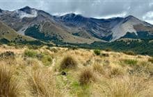 Hogs Back Track (Easy Up Track and Descent Track)