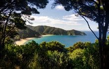 Mutton Cove Campsite