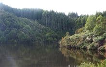 Otago Dam Track