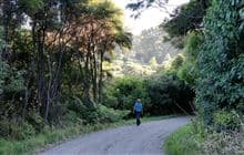 Okuti Valley Scenic Reserve walk