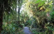Willberg Walk