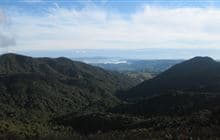 Hihikiwi Track