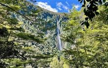 Humboldt Falls Track