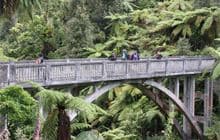 Bridge to Nowhere Walk