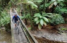 Moerangi Track