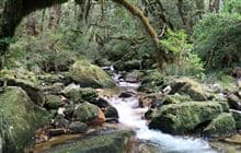 Lake Stream Route