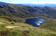 Lake Peel Track