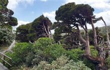Patea Track