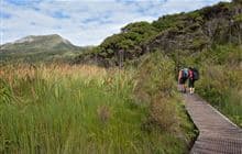 Kaitoke Hot Springs Track