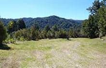 Clements Clearing Campsite