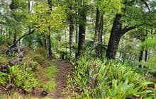 Lake Rotorangi Hydro Walkway