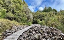 Goldsborough short walks