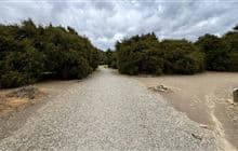 Hikuwai Link Track
