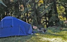 Mangawaiiti Campsite