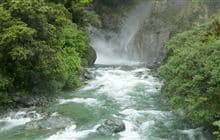 Hollyford Track: Hidden Falls Track