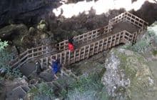 Rawhiti Cave Track