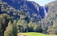 Wairere Falls Track