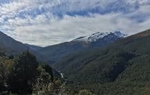Haast Pass Lookout Track