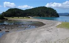 Motuarohia (Roberton) Island Track