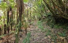 Henderson Tramline Loop Track