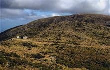 Mt Bee Bunkrooms
