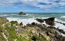 Cape Foulwind Walkway